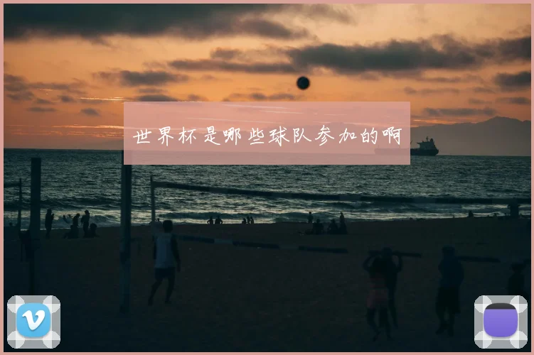 世界杯是哪些球队参加的啊